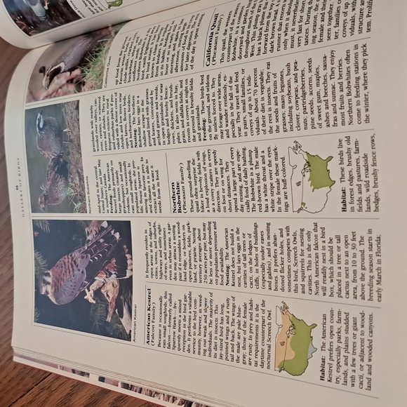 How to attract Birds/ BUNDLE ONLY 2or more items - Picture 16 of 16